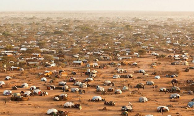 Refugiados, Sebastián Fernández y los demás