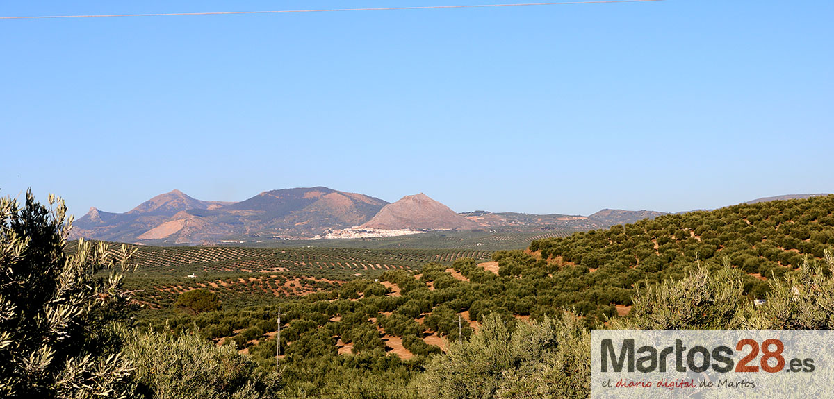 La Consejería de Agricultura invierte 2,5 millones en obras hidráulicas y caminos rurales en Martos