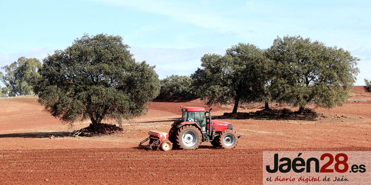 Diputación incrementa hasta los 92.000 euros sus ayudas para asociaciones en materia agrícola y medioambiental
