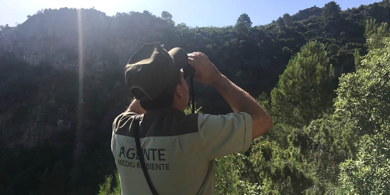 La Junta impulsa un plan especial de control para detectar artes prohibidas en cotos de caza