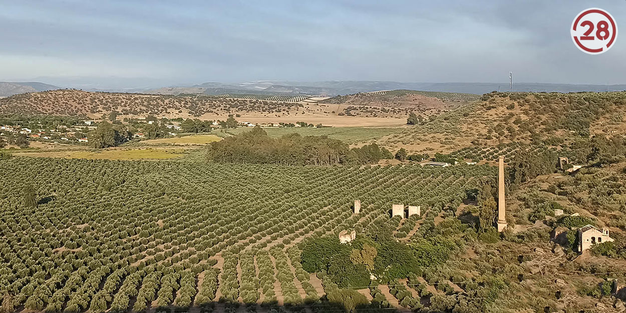 El plazo para presentar los trabajos para el Premio de Investigación Agraria 2024 del IEG finaliza el 28 de junio